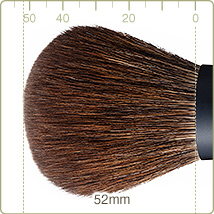 REN-1:Powder brush