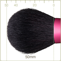 AN-1:Powder brush