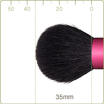 AN-2:Cheek brush