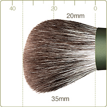 FO-4:Cheek/Highlight brush