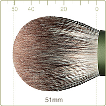 FO-9:Powder brush