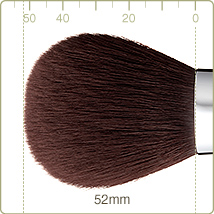 L-G1 : Powder brush