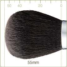 L-S1 : Powder brush