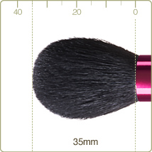 PS-2 : Cheek brush