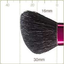 PS-11 : Cheek/Highlight brush