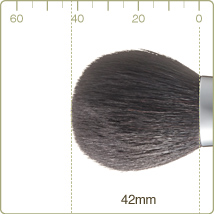 R-P4/RR-P4 : Powder brush