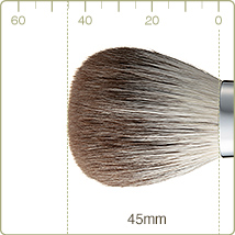 R-P8/RR-P8 : Powder brush