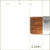 R-SL2/RR-SL2 : Shadow-liner brush