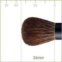 REN-6:Cheek brush