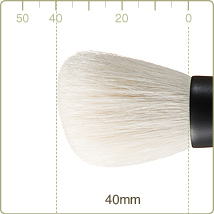 T-2：Powder brush