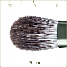 ZE-6 : Eye shadow brush